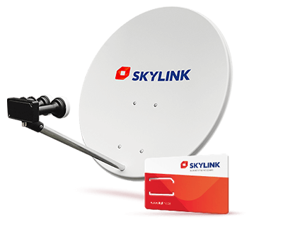 Skylink